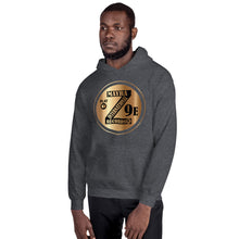 Load image into Gallery viewer, Zoria 9 Youthful Unisex Everyone's Hoodie Bronzo Olimpico