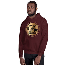 Load image into Gallery viewer, Zoria 9 Youthful Unisex Everyone's Hoodie Bronzo Olimpico