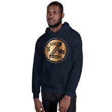 Load image into Gallery viewer, Zoria 9 Youthful Unisex Everyone's Hoodie Bronzo Olimpico