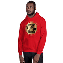 Load image into Gallery viewer, Zoria 9 Youthful Unisex Everyone's Hoodie Bronzo Olimpico
