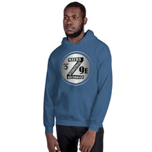 Load image into Gallery viewer, Zoria 9 Youthful Unisex Everyone's Hoodie Adamantium Bright Metal
